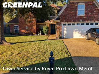 Lawn Cut nearby Walls, MS, 