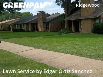 Landscape Design In Plano,75074,Landscaping Services by Edgar Ortiz Sanchez, work completed in Jun , 2026