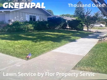 Grass Cut nearby San Jose, CA, 