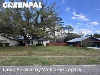 Lawn Cut nearby Alachua, FL, 