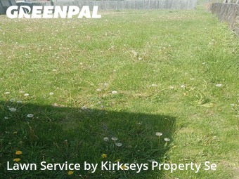 Lawn Maintenance nearby Westland, MI, 