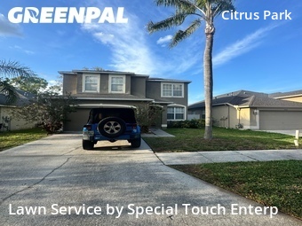 Lawn Mow nearby Tampa, FL, 