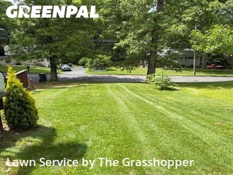 Lawn mowed in Tolland, 6084