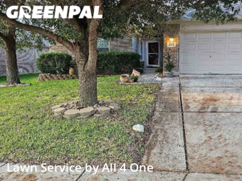 Yard Cutting nearby Cibolo, TX, 