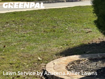 Lawn Cutting nearby San Antonio, TX, 