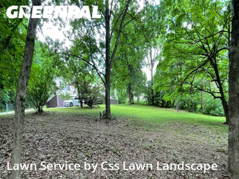 Lawn Cutting nearby Springfield, KY, 