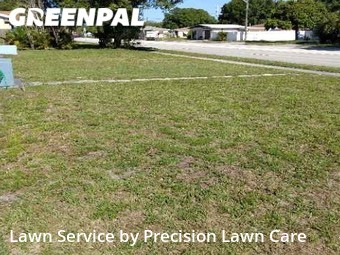 Lawn Mowing nearby St. Petersburg, FL, 