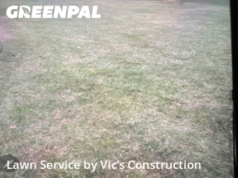 Lawn Upkeep in Lockport, 60441, Weekly Mowing by Vic’s Construction , work completed in Nov , 2025