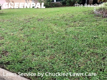 Yard Cuttingin Jacksonville Beach,32250,Lawn Mowing by Chucklez Lawn Care, work completed in Feb , 2026
