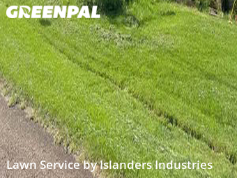 Lawn Maintenance nearby Westminster, LA, 