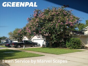 Yard Cutting nearby Orlando, FL, 