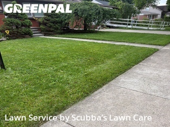 Grass Cut nearby Dearborn Heights, MI, 