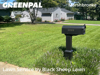 Grass Cutting nearby Charlotte, NC, 