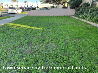 Lawn mowing work completed in Lynwood, CA