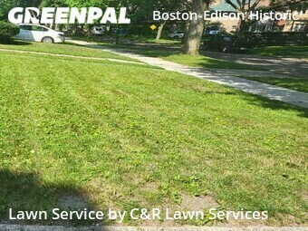 Grass Cutting nearby Detroit, MI, 