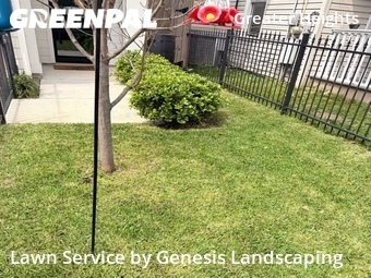 Yard Cutting nearby Houston, TX, 