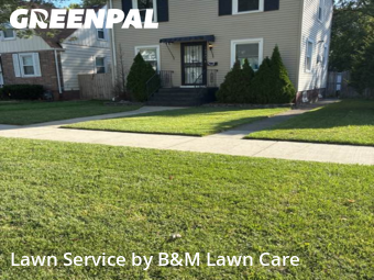 Lawn Work in Dolton, 60419, Mowing Services by B&M Lawn Care, work completed in Nov , 2025