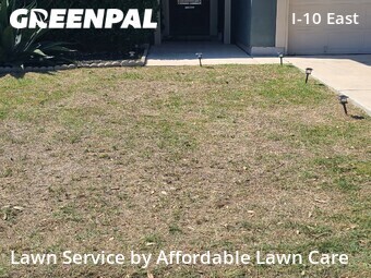 Lawn Cutting nearby Converse, TX, 