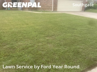 Grass Cut nearby Fort Worth, TX, 