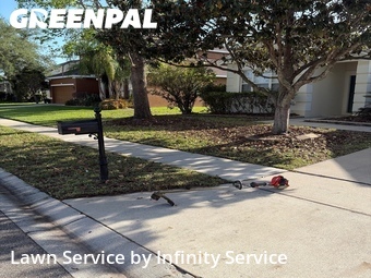 Lawn Cutin Ocoee,34761,Lawn Cutting by Infinity Service , work completed in Jun , 2026