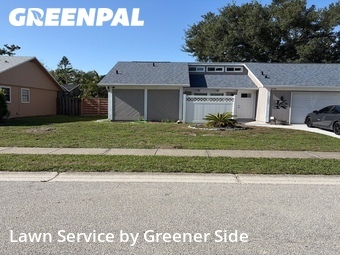 Grass Cut nearby Sarasota, FL, 