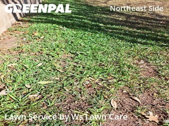 Lawn Mowing nearby Converse, TX, 