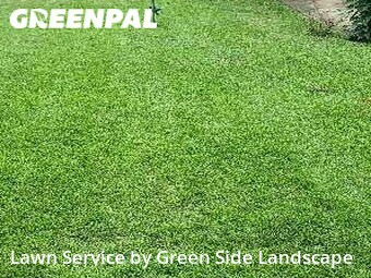 Lawn Mowing Service nearby Albany, GA, 