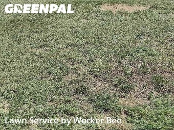 Grass Cut nearby Denver, CO, 