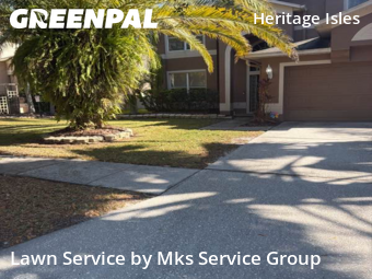 Lawn Maintenancein Tampa,33647,Grass Cutting by Mks Service Group, work completed in Dec , 2025