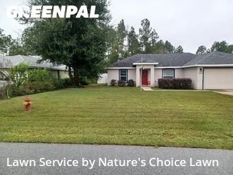 Lawn Mow nearby Ocala, FL, 