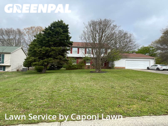 Grass Cut nearby Charlotte, NC, 