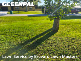 Lawn mowed in Merritt Island, 32953