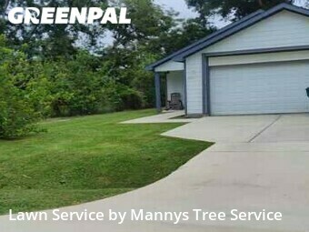 Lawn Cut nearby La Marque, TX, 
