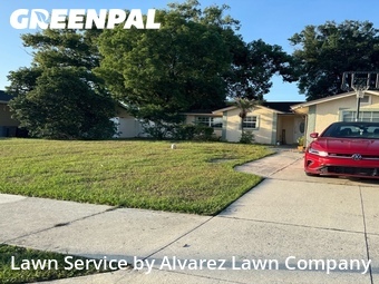 Lawn Maintenancein Altamonte Springs,32714,Lawn Cutting by Alvarez Lawn Company, work completed in Jul , 2026