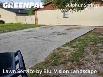 Grass Cut nearby Tampa, FL, 