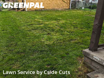 Lawn Cut nearby Brackenridge, PA, 