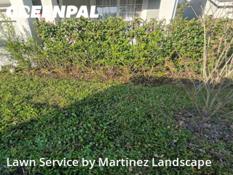 Yard Upkeep in Horizon West, 34786, Lawn Upkeep by Martinez Landscape, work completed in Dec , 2025