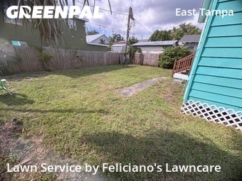 Grass Cut nearby Tampa, FL, 