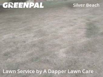 Lawn Mowing in Bellingham, 98229, Lawn Upkeep by A Dapper Lawn Care, work completed in Nov , 2025