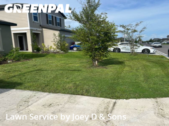 Lawn Mowing nearby Lakeland, FL, 