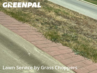 Lawn Service nearby Frisco, TX, 