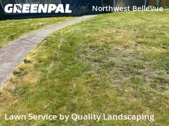 Lawn Maintenance nearby Bellevue, WA, 