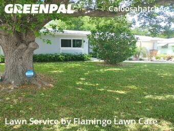 Lawn Cutting nearby Cape Coral, FL, 
