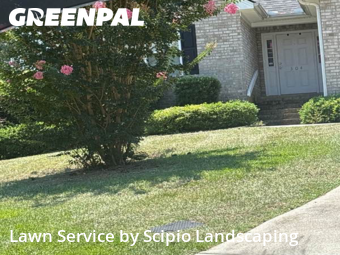 Grass Cut nearby Columbia, SC, 