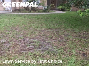 Lawn Cutting nearby Palm Coast, FL, 