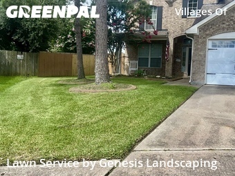 Grass Cut nearby Katy, TX, 