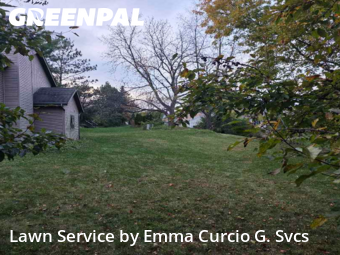 Front Yard Mowing in Madison, 53719, Garden Trimming by Emma Curcio G. Svcs, work completed in Nov , 2025