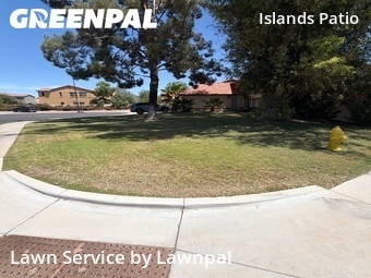 Lawn Mow nearby Gilbert, AZ, 