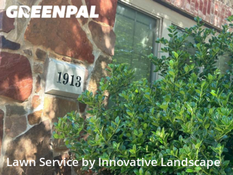 Lawn Mowing nearby Plano, TX, 
