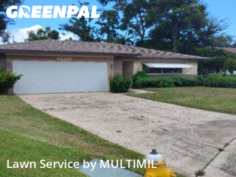 Lawn Cutting nearby Palm Harbor, FL, 